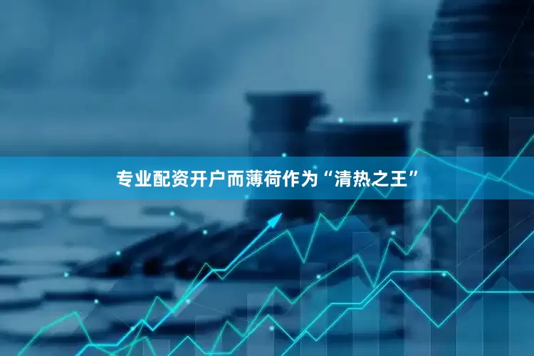 专业配资开户而薄荷作为“清热之王”