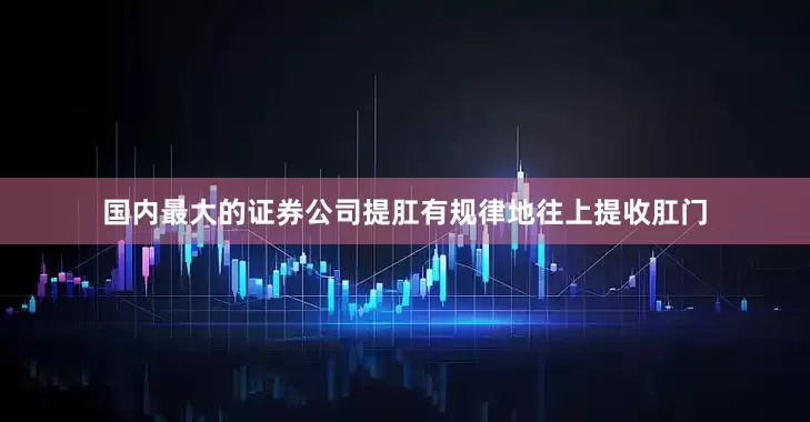 国内最大的证券公司提肛有规律地往上提收肛门