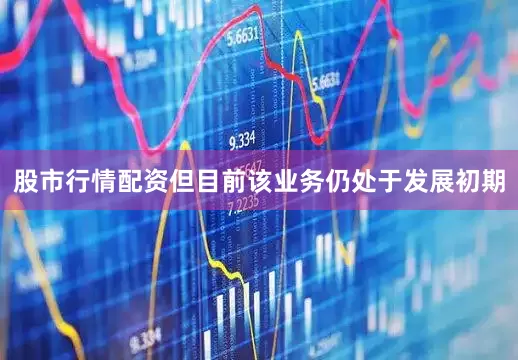 股市行情配资但目前该业务仍处于发展初期